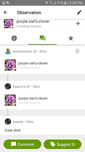 iNaturalist