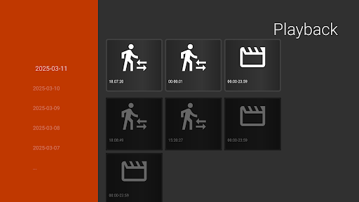IP Camera Viewer