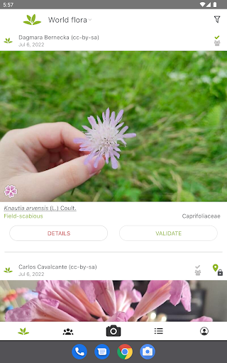 PlantNet Plant Identification