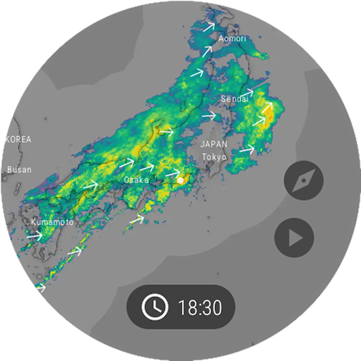 Windy.com - Weather Forecast