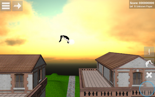 Backflip Madness