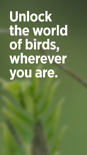 Audubon Bird Guide