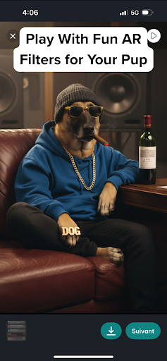 DogPack: Dog Friendly Spots
