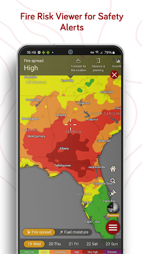 Windy.com - Weather Forecast