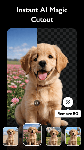 AI Photo Editor - Polish
