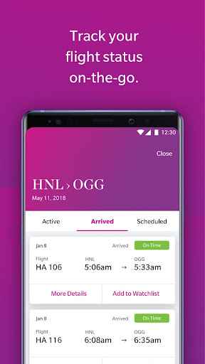Hawaiian Airlines