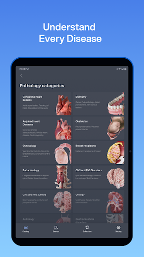VOKA 3D Anatomy and Physiology