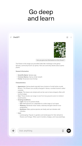 ChatGPT