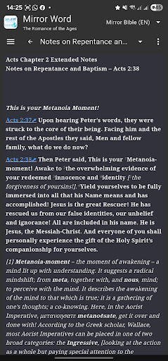 Mirror Study Bible