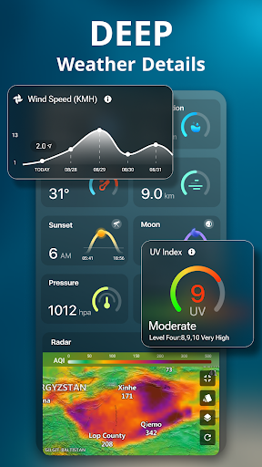 Weather Live