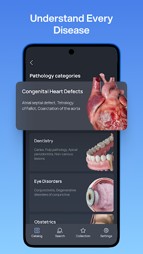 VOKA 3D Anatomy and Physiology
