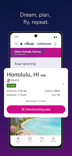 Alaska Hawaiian
