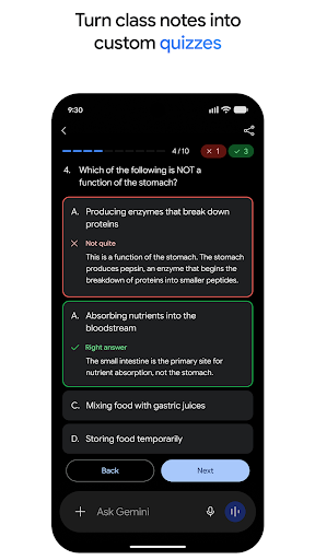 Google Gemini