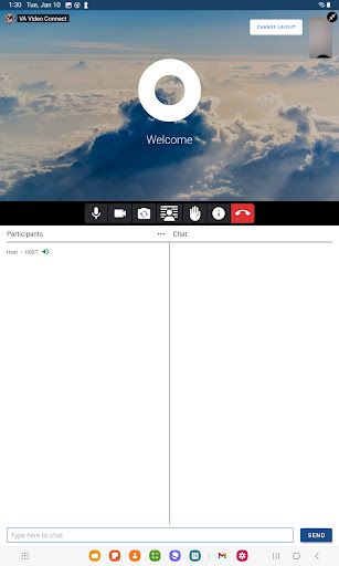 VA Video Connect