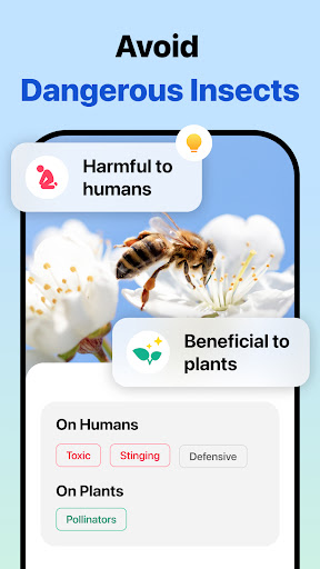 Picture Insect: Bug Identifier