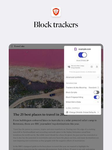 Brave Private Web Browser, VPN