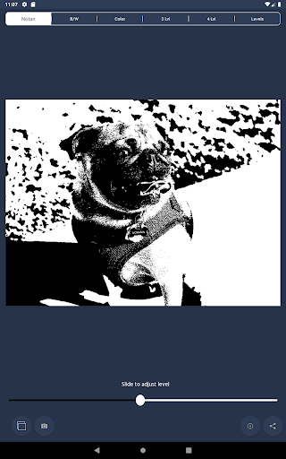 NotanIzer