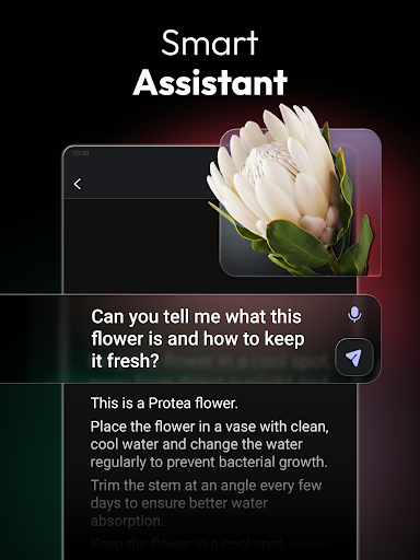 ChatOn - AI Chat Bot Assistant