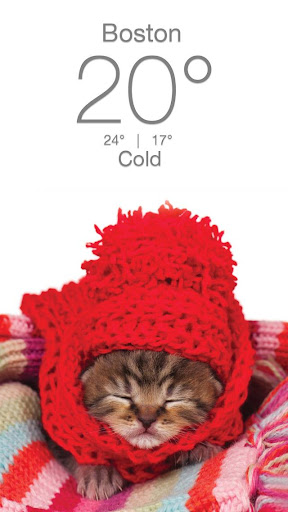 Weather Kitty - App & Widget