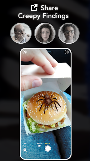 ARSpiders.com: Spider on Face