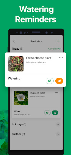 PictureThis - Plant Identifier