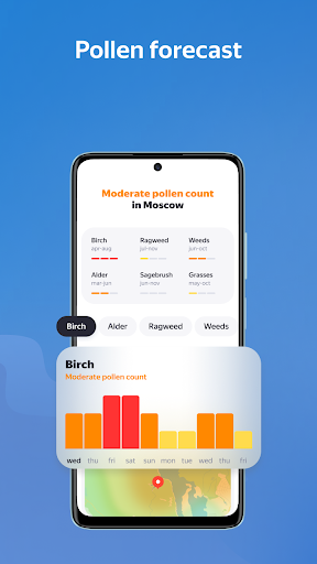 Yandex Weather & Rain Radar