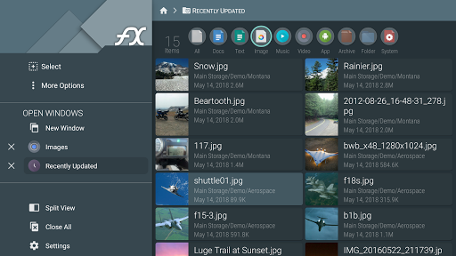 FX File Explorer: Plus License