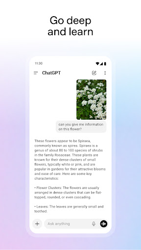 ChatGPT