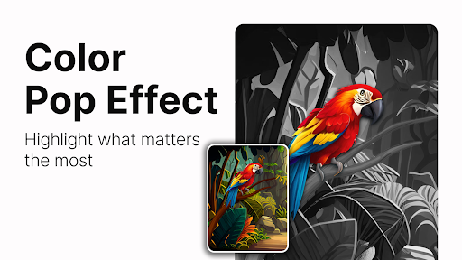 Photo App - AI Photo Enhancer