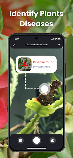 PlantIn Plant Identifier, Care