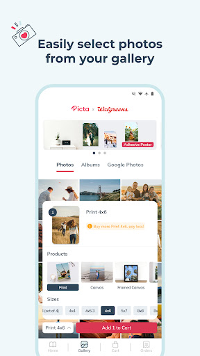 Picta Photo Print - 1h Pickup