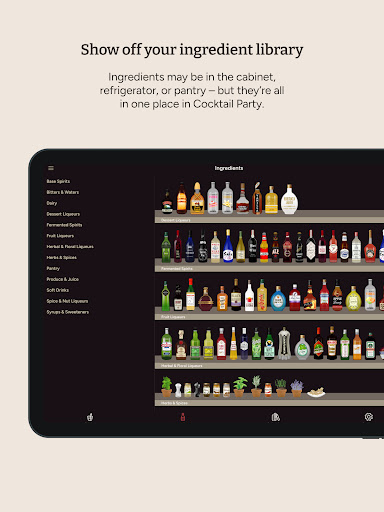 Cocktail Party: Drink Recipes