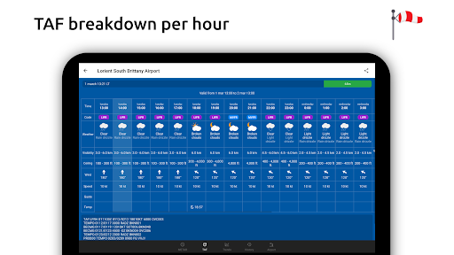 Metar-Taf - Visual decoder