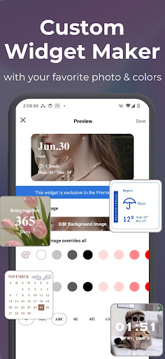 WidgetClub:Widget, Theme, Icon
