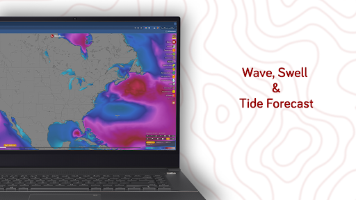 Windy.com - Weather Forecast