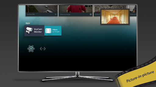 tinyCam Monitor PRO for IP Cam
