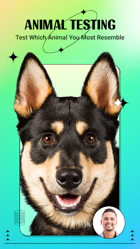 Artplay - AI Photo & Video