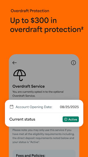 Netspend