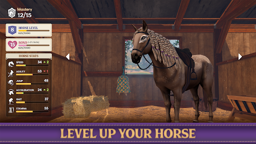Star Equestrian - Horse Ranch