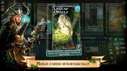 Mystic Vale