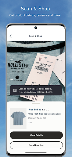 Hollister Co.