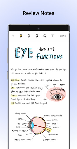 Noteshelf - Notes, Annotations