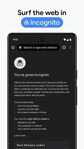 Google Chrome