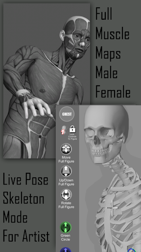 Pose Tool 3D