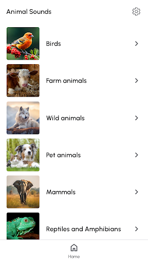 Animal Sounds and Ringtones