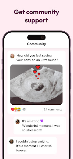WeMoms Pregnancy Baby Tracker