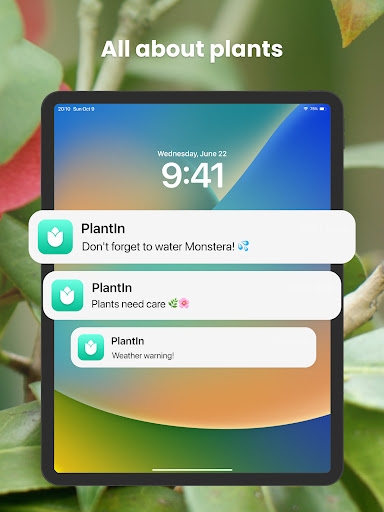 PlantIn Plant Identifier, Care