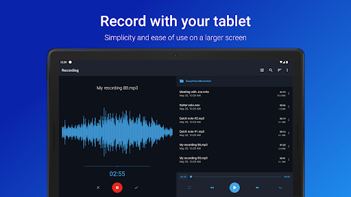 Easy Voice Recorder Pro