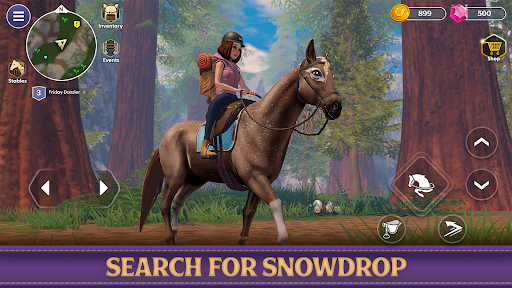 Star Equestrian - Horse Ranch