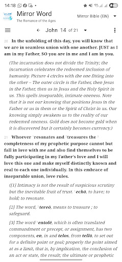 Mirror Study Bible